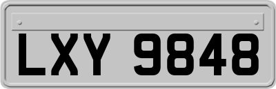 LXY9848