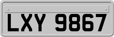 LXY9867