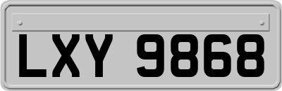 LXY9868