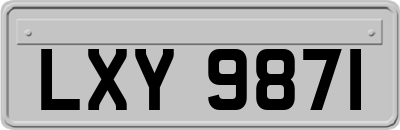 LXY9871