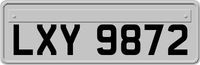 LXY9872