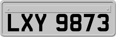 LXY9873
