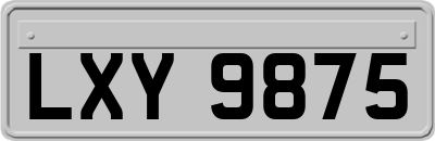 LXY9875