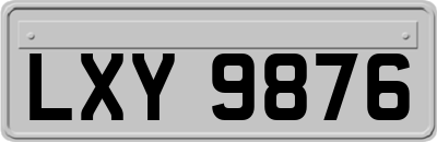 LXY9876