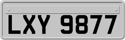 LXY9877