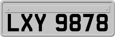LXY9878