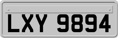 LXY9894