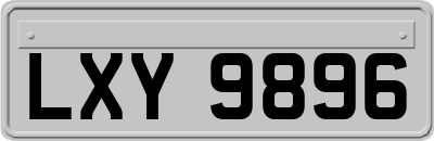 LXY9896