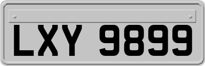 LXY9899