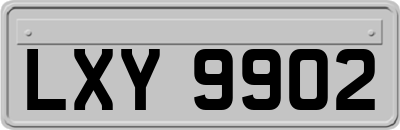 LXY9902