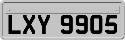 LXY9905