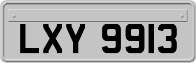 LXY9913