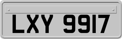 LXY9917