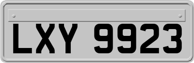 LXY9923