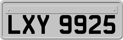 LXY9925