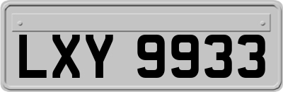 LXY9933
