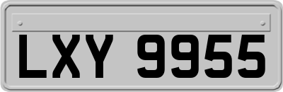 LXY9955