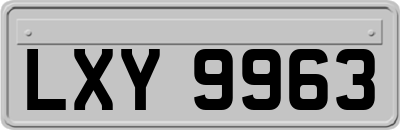 LXY9963