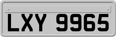 LXY9965