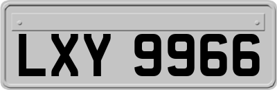 LXY9966
