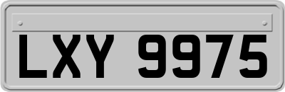 LXY9975