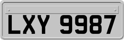 LXY9987