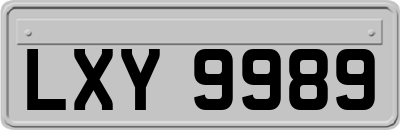 LXY9989