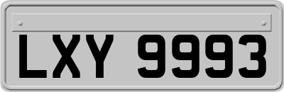 LXY9993
