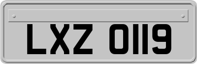 LXZ0119