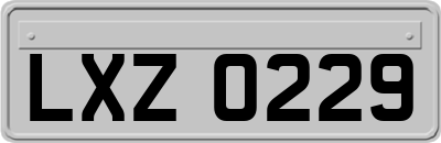 LXZ0229
