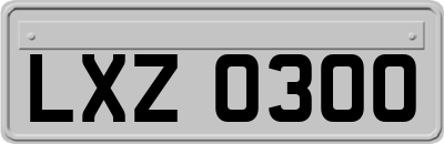LXZ0300