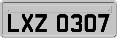 LXZ0307