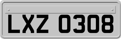 LXZ0308