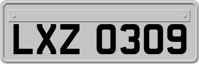 LXZ0309