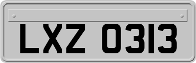 LXZ0313