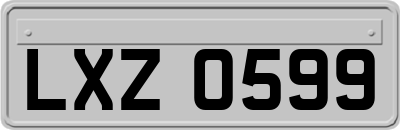 LXZ0599