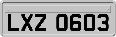 LXZ0603