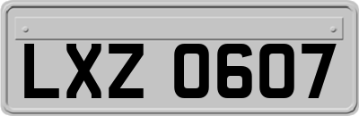 LXZ0607
