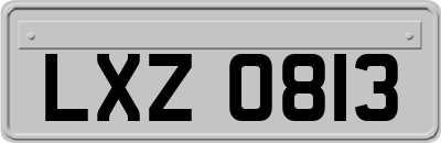 LXZ0813