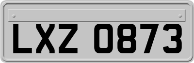 LXZ0873