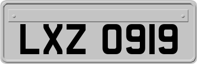 LXZ0919