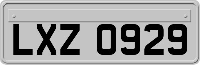 LXZ0929