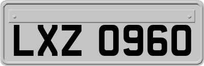 LXZ0960
