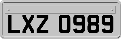 LXZ0989