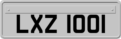 LXZ1001