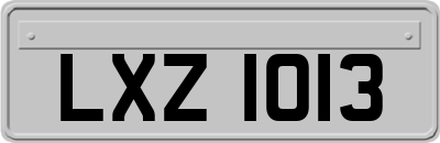 LXZ1013