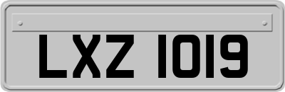 LXZ1019