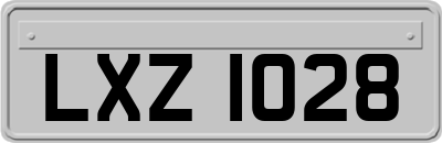 LXZ1028
