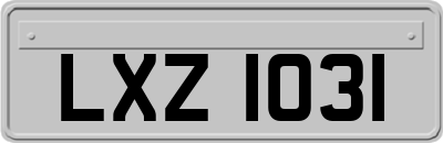 LXZ1031