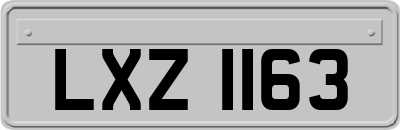 LXZ1163
